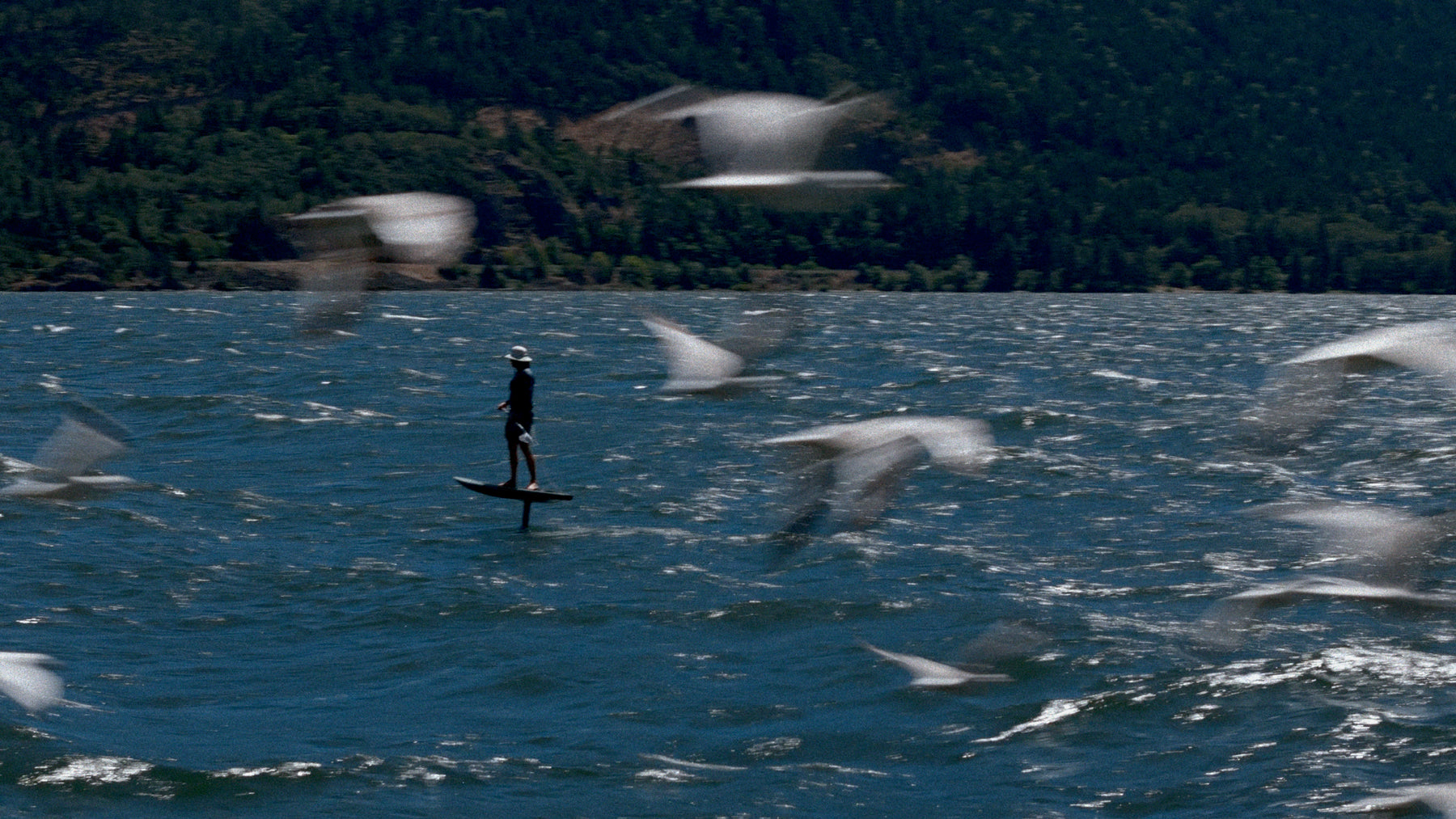 Hydrocraft. — project imagery